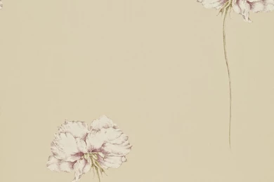 Peony Stem Wallpapers