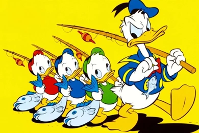 1087x854px Duck Donald Wallpapers