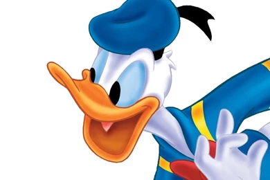 Cartoon Donald Duck Wallpapers