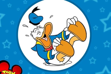 Donald Duck   Cartoons Wallpapers