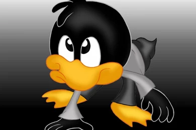 Download Cute Daffy Duck Wallpapers For Desktop In HD