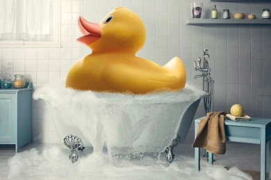 Cute Yellow Duck Wallpapers 257968