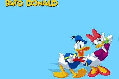 Donald Duck And Daisy Flirting Nice Wallpapers Cartoon