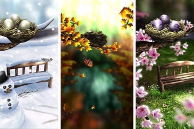 Season zen 120625.jpg