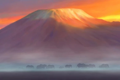 Lion King Wallpapers   Album On Imgur