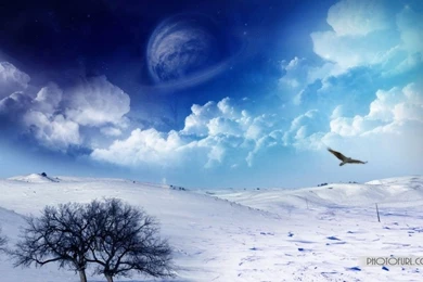 Free Winter Wallpapers Download For Computer Desktop Backgrounds ...