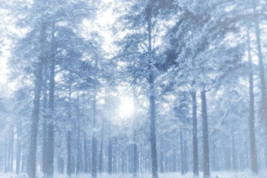 Free Wallpicz: Wallpapers Desktop Winter Free