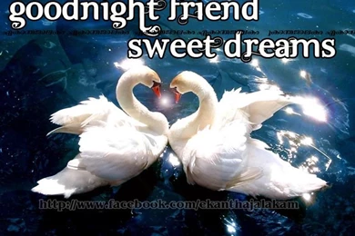 Lovely Quotes For You: Wishing U A Nice Dreamy Night New HD