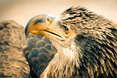 Ultra HD Wallpapers   Pack 1 (3840x2160)     Www.ultrahdwallpapers ...