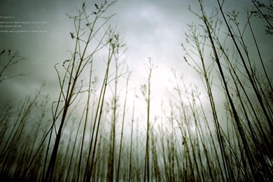 Nine Inch Nails Computer Wallpapers, Desktop Backgrounds ...