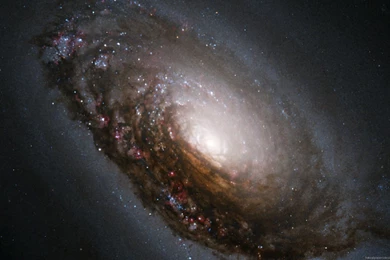 Screensavers And Wallpapers Hubble Views   Pics About Space