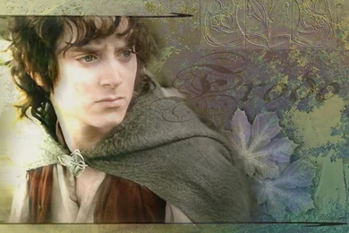 Frodo Baggins   Lord Of The Rings Photo (11353312)   Fanpop