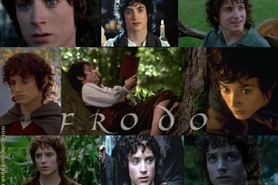 Frodo Baggins