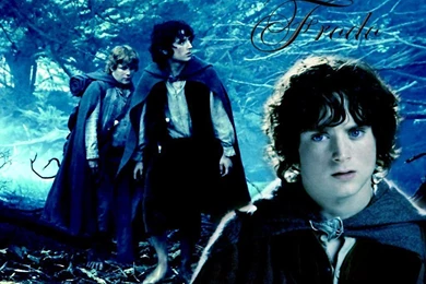Frodo   Lord Of The Rings Wallpapers (2391207)   Fanpop