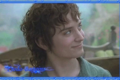 Frodo   Frodo Wallpapers (11310702)   Fanpop