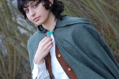 LOTR: Frodo Baggins By ALAIE On DeviantArt