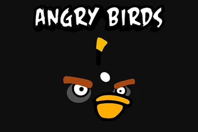 Black Angry Bird Wallpapers 148077
