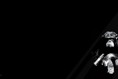 Angry Chimp Spotlight Wallpapers By Travistroy On DeviantArt