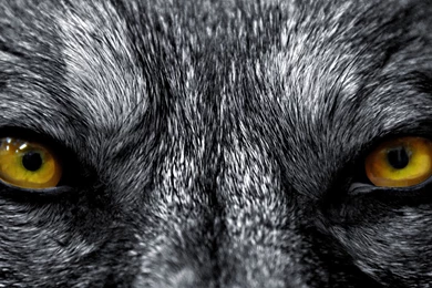 Anger Management Classes, Cobb County, Georgia; Smyrna, Georgia ...