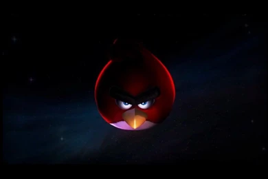 Wallpapers Pictures Photos: Angry Birds Black Pictures