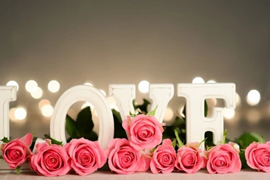 Love Roses And Love Word HD Wallpapers To Show Love