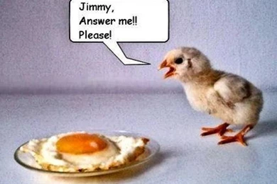 The most funny pictures free download 4.jpg