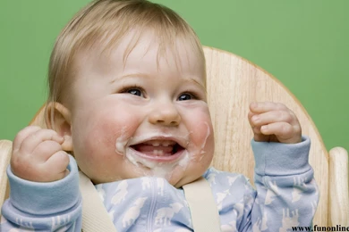 Desktop funny wallpapers of dogs download.jpg