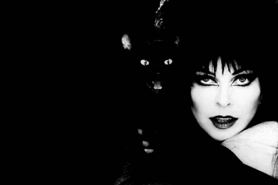 Elvira Mistress Of The Dark Wallpapers   Wallpapers Cave