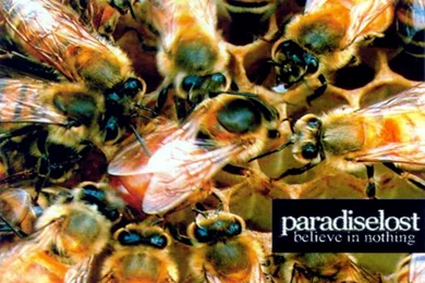 PARADISE LOST   BANDSWALLPAPERS