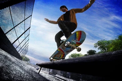 Skate wallpapers hd.jpg