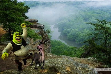 Animated Cartoon Movies Wallpapers Pictures The Hollywood Film For ...