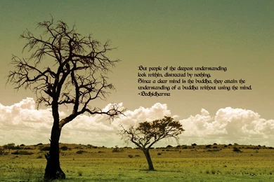 Buddhist Quotes Buddha Wallpaper. QuotesGram