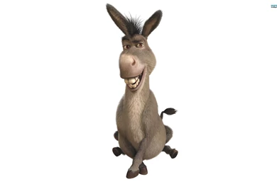 Donkey shrek 7664 2560x1600.jpg
