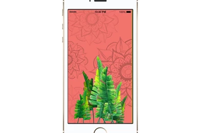 Welcome June   Free Wallpapers — Daughter Zion Designs