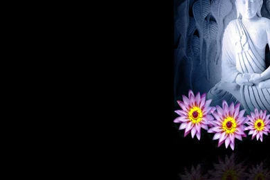 Gallery For   Buddha Lotus Wallpapers