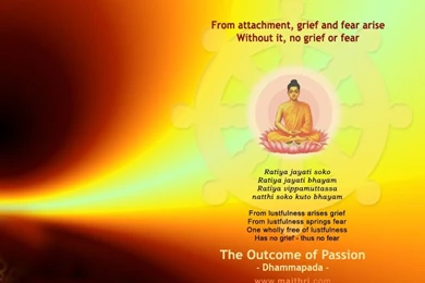 Buddhist Wallpapers   The Outcome Of Passion