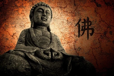 Famous Buddha Quotes On Compassion. QuotesGram