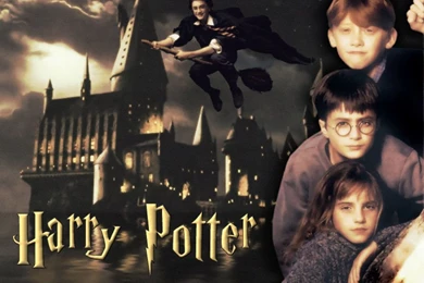 Harry Potter   Movie Wallpapers   Crazy Frankenstein