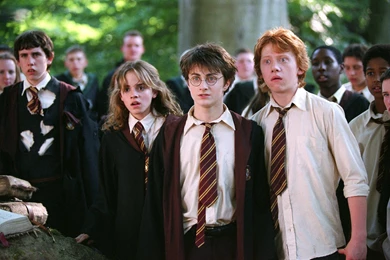Rupert Grint Matthew Lewis Daniel Radcliffe Emma Watson Harry ...
