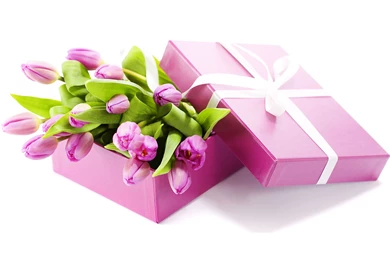 Gift Computer Wallpapers, Desktop Backgrounds