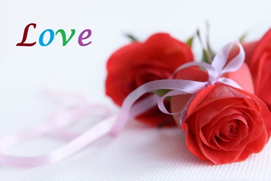 Love HD Wallpapers And High Quality Backgrounds