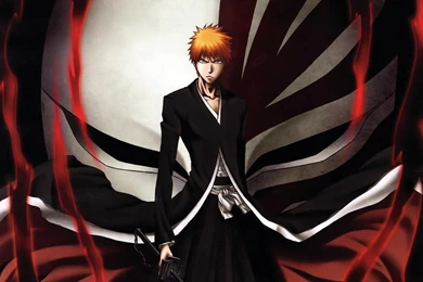 Bleach Ichigo Hollow Mask Wallpapers