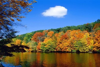 Seasonal Shoreline Autumn Hdr Scenic Free Desktop Backgrounds ...