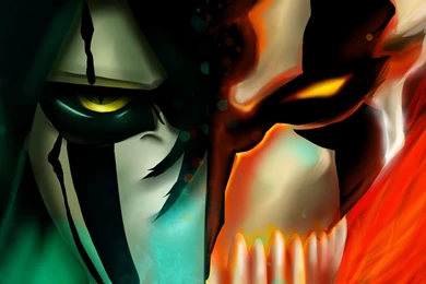 Bleach Hollow Mask   1920x1080   Full HD 16/9   Wallpapers