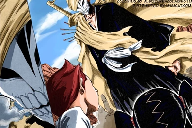 Bleach Favourites By DespairofMetallix On DeviantArt