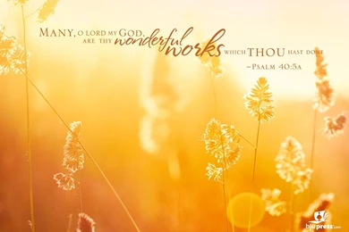 Scripture Desktop Backgrounds   Wallpapers Cave