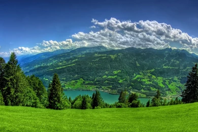 Nature Desktop PC And Mac Wallpapers 1280×1024