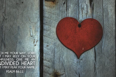 Memorize Scripture With Your Phone's Lock Screen ...