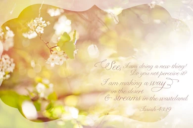 Free Spring Desktop Backgrounds — Lissa Anglin Photography