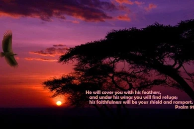 Bible Verse Desktop Wallpapers   Wallpapers Cave